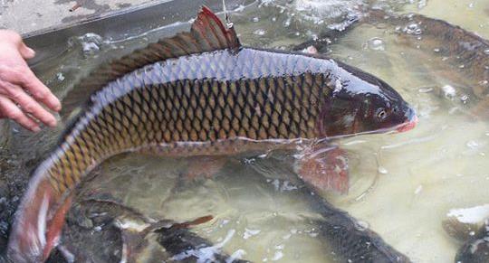 生活小常識:42個超實用的生活小妙招與技巧經(jīng)驗