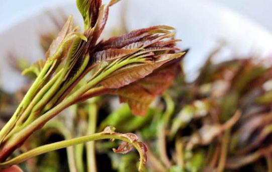 春分養生 春分時節這一物得多吃