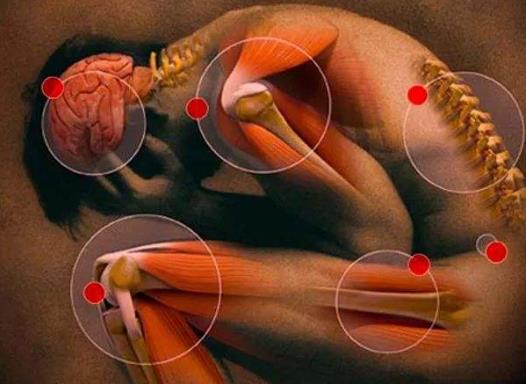 真相!為什么運動過度對身體有傷害
