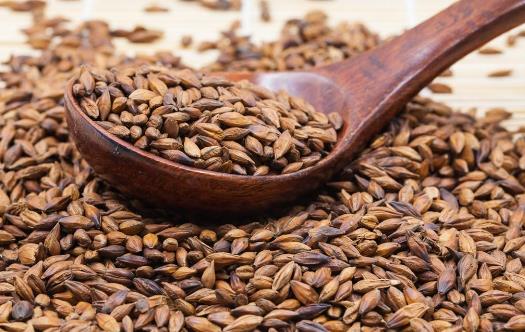 什么人不能喝大麥茶呢？ ?