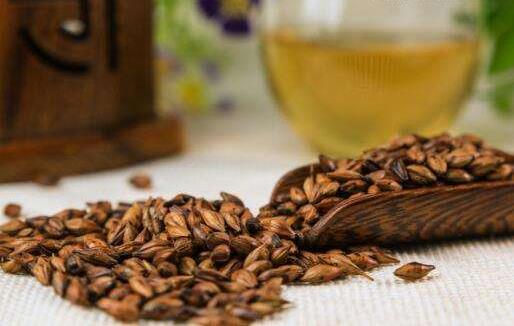 什么人不能喝大麥茶呢？ ?