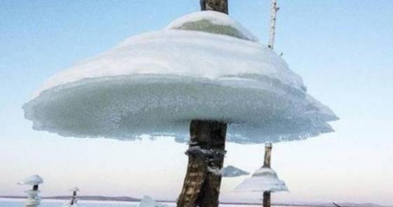 俄羅斯干干凈凈的水庫 一夜之間突然出現“冰蘑菇”