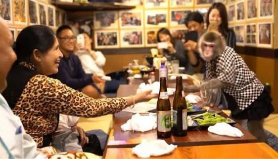 日本最火爆的餐廳之一 猴子當(dāng)服務(wù)生,報酬只要香蕉