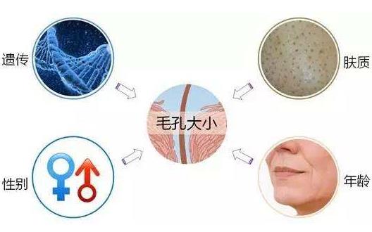 毛孔粗大吃什么好 收縮毛孔最佳飲食營養方案