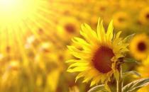 ?樂觀心態是健康內因 生活中保持樂觀心態的方法