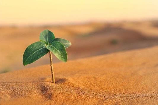 2019年想創業 如果不具備這六種正能量 還是打工吧