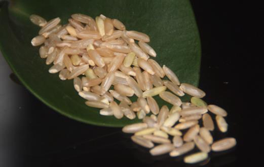 冬季減肥不用節食 這幾種食物越吃越瘦