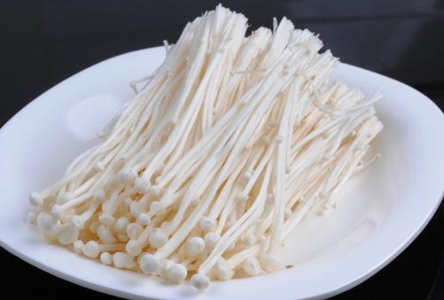 4種常見蘑菇的營養價值 適用于孕婦補充營養