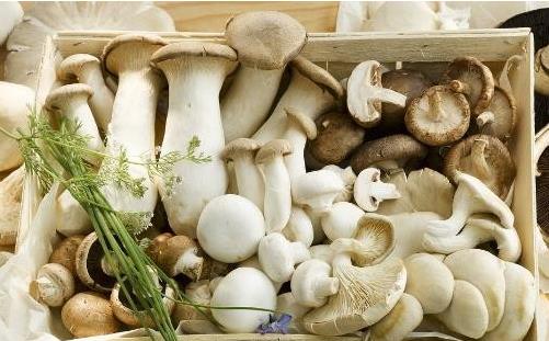 懷孕期間胎兒大腦發育 最需要的5種營養