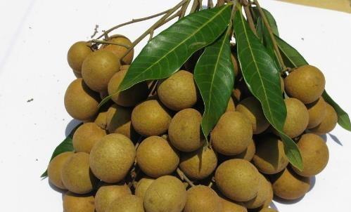 孕晚期水果魚類盤點(diǎn) 孕媽值得注意