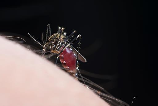 春季易引發(fā)的皮膚病 幾種方法助你輕松應(yīng)對