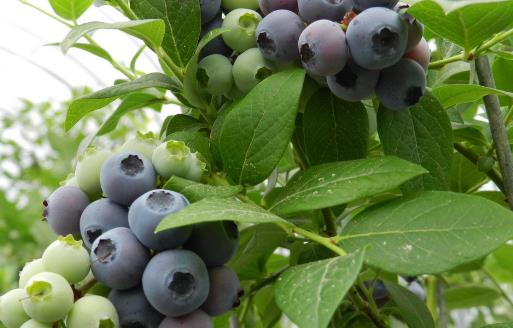 通過鍛煉和少吃減肥以外 中醫穴位按摩也可以減肥