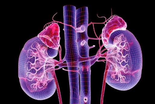 腎病綜合癥名詞解釋 腎病患者一定要把好飲食這一關