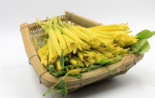 食以載道的黃花菜，安神除煩護膚美顏