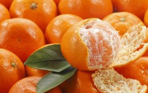 橘子全身是寶 橘皮橘絡都不要再扔了