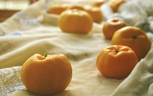 橘子全身是寶 橘皮橘絡都不要再扔了