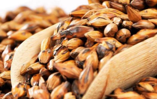 健脾開胃解油膩 吃大餐就沖一杯大麥茶吧