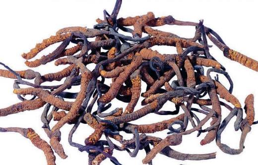 總是疲勞沒精神,濕熱體質的你如何調理才能恢復健康