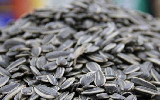 過年瓜子別多吃？這些人更是要少吃