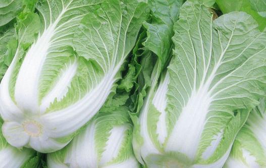 越吃越年輕的排毒蔬菜 吃出來的年輕才健康