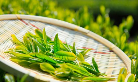 春分養生必吃的3款美食