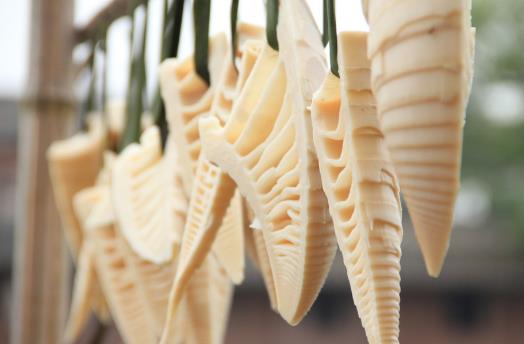 幼兒春季養生小常識 媽媽該如何讓寶寶更健康