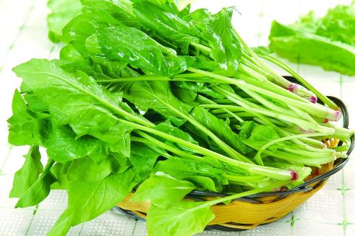 春季養生吃什么？這7種食物最適合春