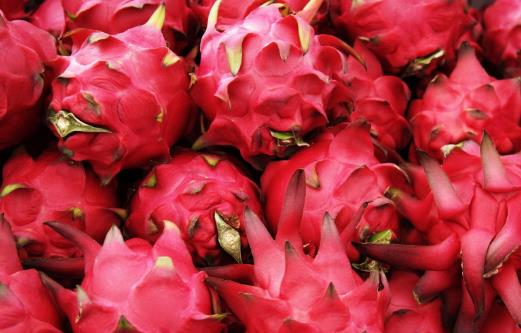 橘子吃多變“小黃人 關于食物“重口味”知識