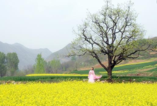 春季食療養生 選對食譜效果好