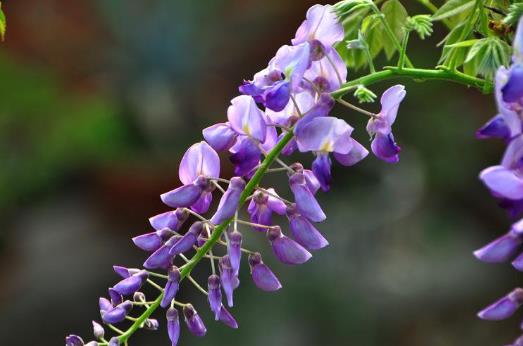 6款長假調身湯 讓疲憊的你滿血復活