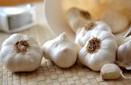 食物有助提高免疫力?9種食物不可錯過!