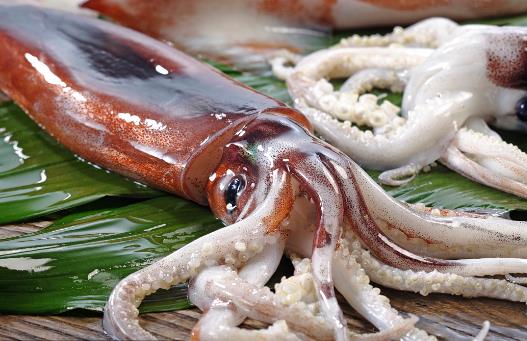 魷魚、花枝和軟絲傻傻分不清？教你一招來辨認
