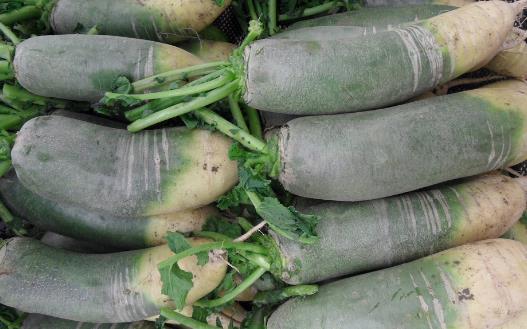 蘿卜的營養與功效 冬吃蘿卜夏吃姜一年四季保安康