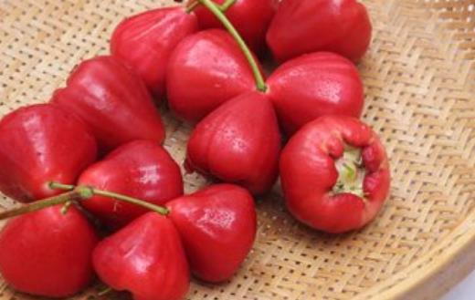 蓮霧熱量低營養(yǎng)豐富且能降血壓