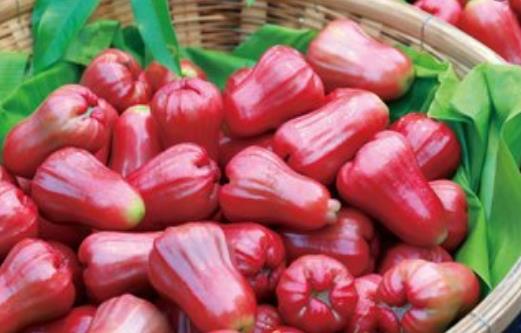 蓮霧熱量低營養(yǎng)豐富且能降血壓