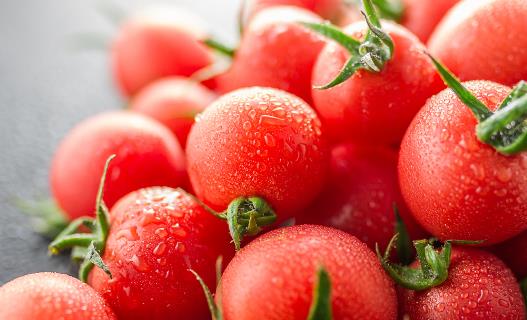 西紅柿為抗氧化抗癌的圣品 生吃熟吃功效大可不同