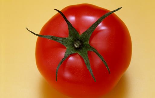 西紅柿為抗氧化抗癌的圣品 生吃熟吃功效大可不同