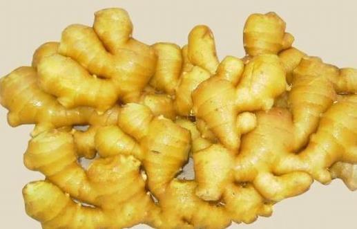 食物的種類繁多 細數常見食物的特殊功效