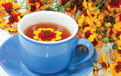 不同類菊花效用不同 分享菊花的小知識