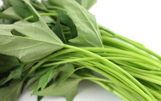 紅薯葉成為健康養(yǎng)生達(dá)人的佳肴 細(xì)數(shù)紅薯葉的九大功效