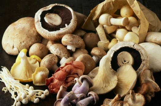 20個保存食物的小妙招，保證讓你受用無窮！