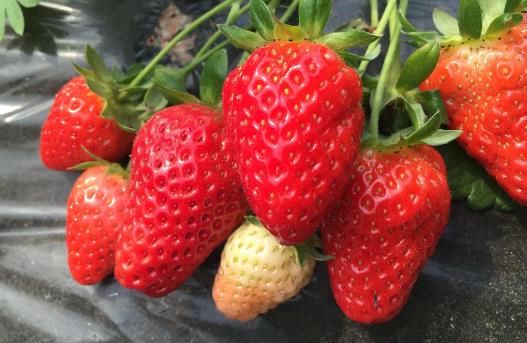 20個保存食物的小妙招，保證讓你受用無窮！