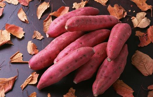 濕氣重導致發胖 濕氣重學會保養身體