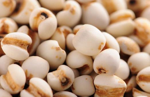 人濕氣太重吃這幾物祛濕 中醫教你調理濕氣重