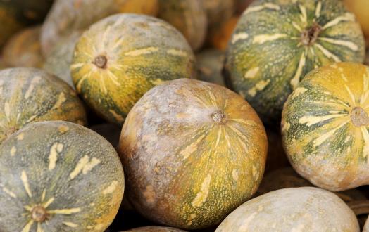 南瓜耐久營養價值高 制作不同料理南瓜的選擇也有差異