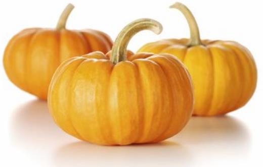 南瓜耐久營養價值高 制作不同料理南瓜的選擇也有差異