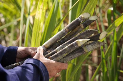 春季眼睛癢應(yīng)該吃這些蔬菜