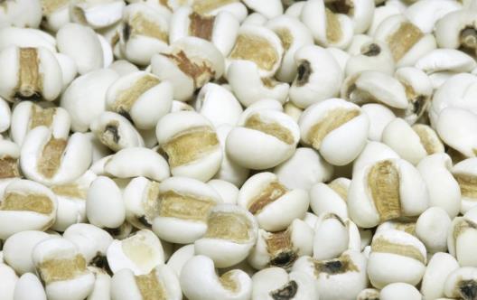 大小薏米功效不同 正確選薏米的妙招