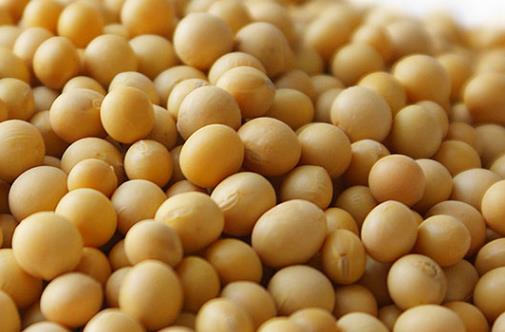 經(jīng)常耳鳴要警惕三大類疾病來襲 治療耳鳴的偏方大全