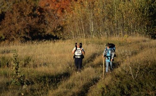 這12個(gè)野外急救措施，關(guān)鍵時(shí)刻能救命！